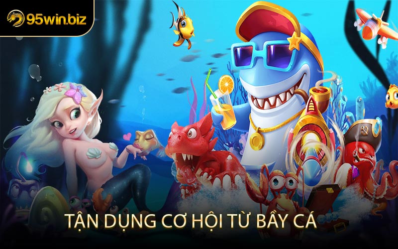 Tận Dụng Cơ Hội Từ Bầy Cá